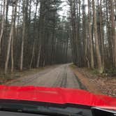 Review photo of Tar Hollow State Park Campground by Melissa M., April 18, 2019