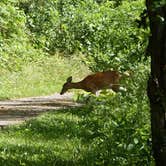 Review photo of Fries New RiverTrail RV Park by Bran P., August 26, 2016