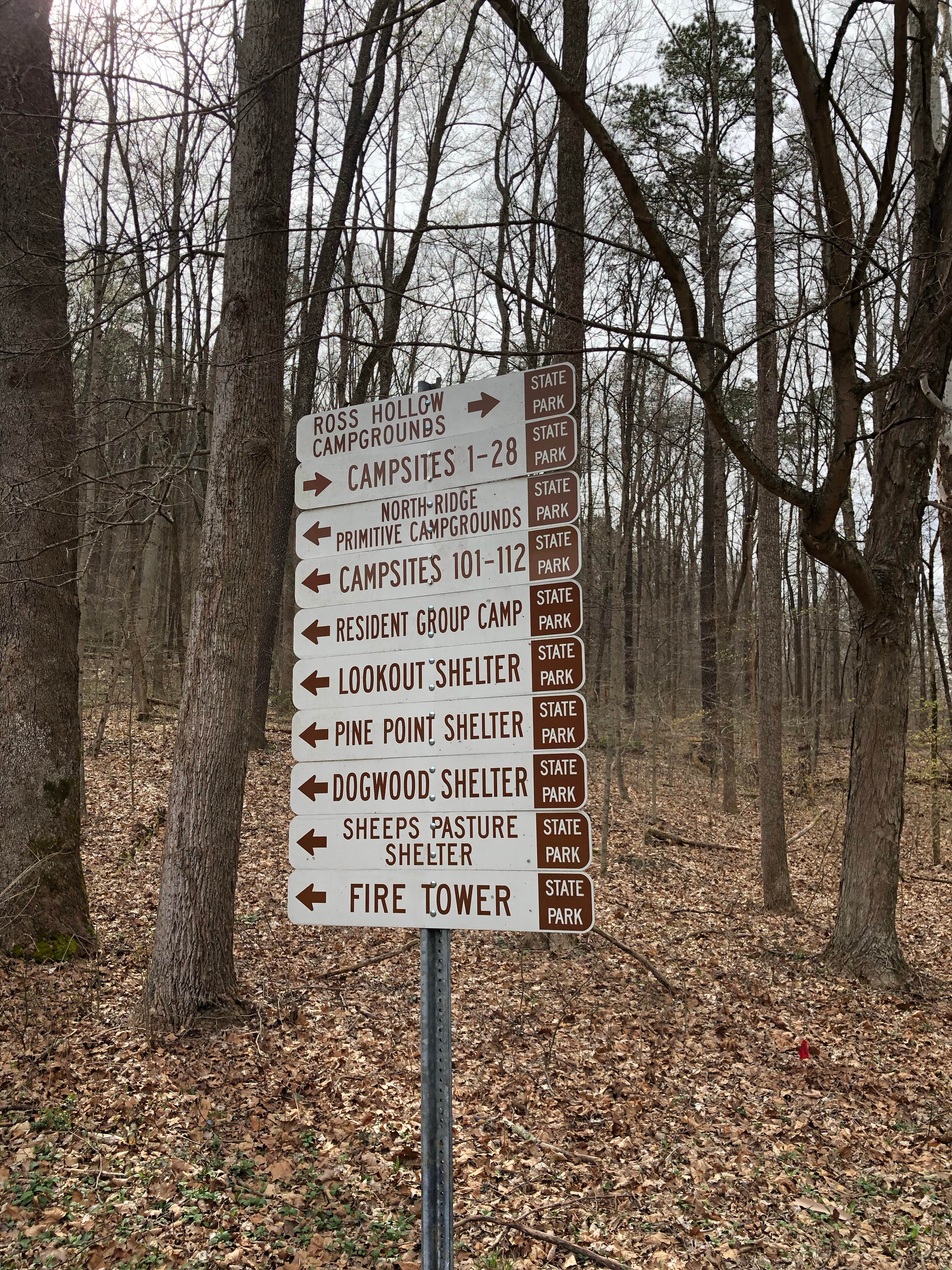 Camper submitted image from Tar Hollow State Park Campground - 4