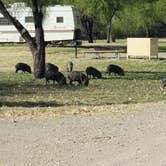 Review photo of Cottonwood Campground — Big Bend National Park by Danielle R., April 18, 2019