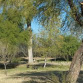 Review photo of Cottonwood Campground — Big Bend National Park by Danielle R., April 18, 2019