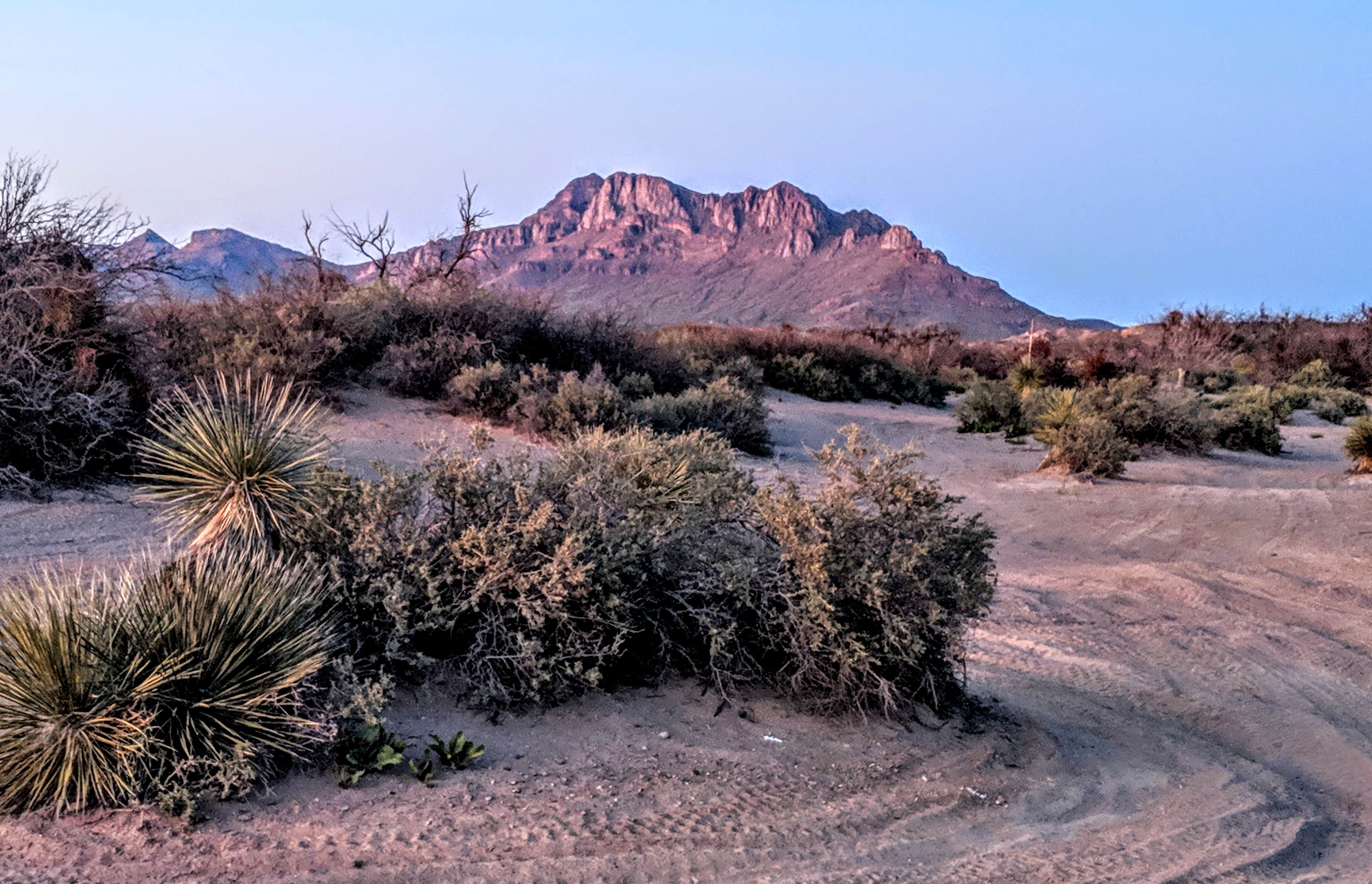 Camper submitted image from Hot Well Dunes Recreation Area - 2