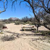 Review photo of Hot Well Dunes Recreation Area by Shari  G., April 18, 2019