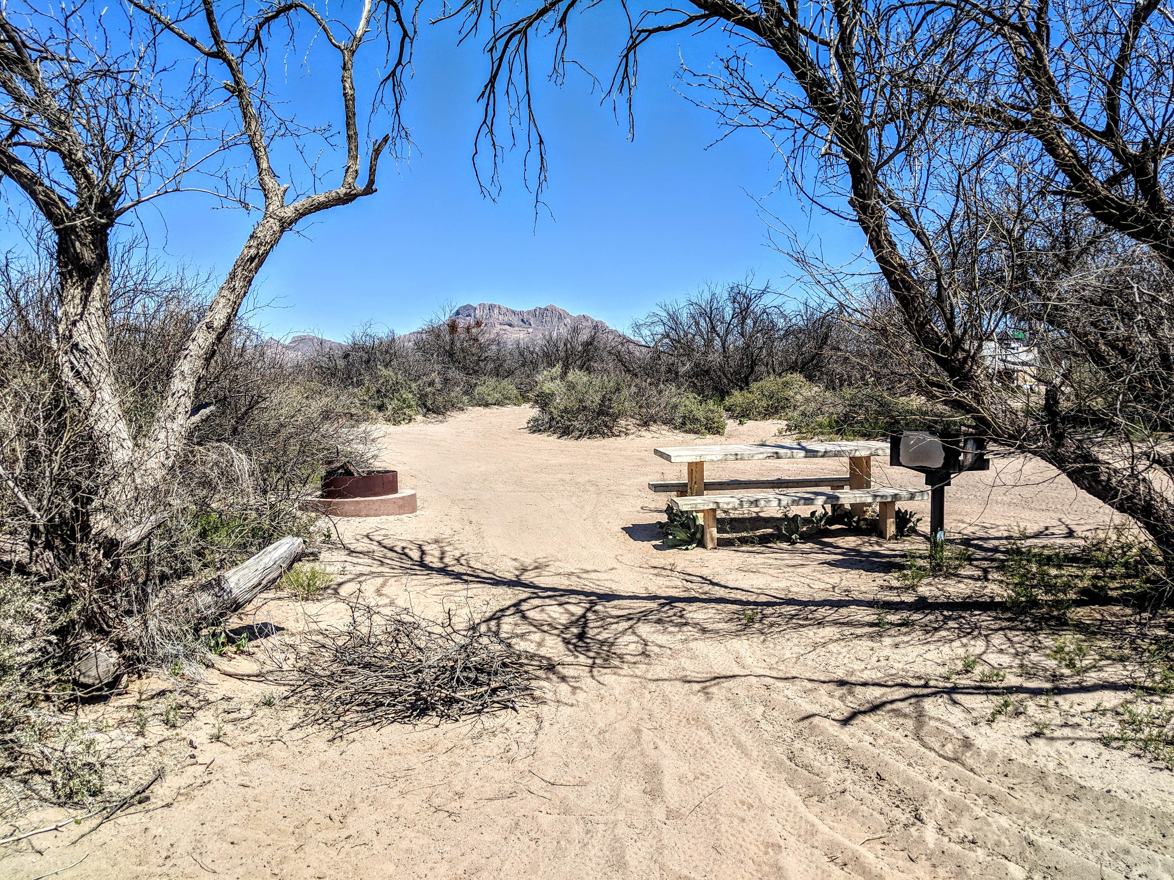 Camper submitted image from Hot Well Dunes Recreation Area - 3