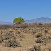 Review photo of Hot Well Dunes Recreation Area by Shari  G., April 18, 2019