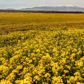 Review photo of Hot Well Dunes Recreation Area by Shari  G., April 18, 2019