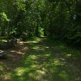 Review photo of Nantahala National Forest Appletree Group Campground by Ethan K., August 26, 2016