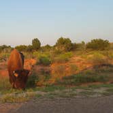 Review photo of North Prong Primitive Campsite Camping Area — Caprock Canyons State Park by Danielle R., April 18, 2019