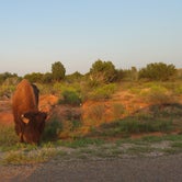 Review photo of Caprock Canyons State Park Campground by Danielle R., April 18, 2019