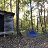 Review photo of Lockhart's Arch Shelter - on the Cumberland Trail by Stephanie J., April 18, 2019