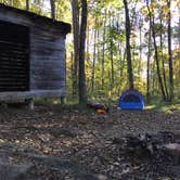 Review photo of Lockhart's Arch Shelter - on the Cumberland Trail by Stephanie J., April 18, 2019