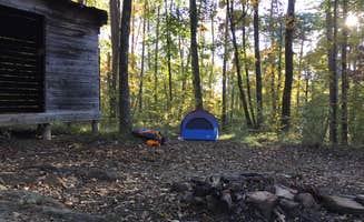 Stephanie J.'s photo at Lockhart's Arch Shelter - on the Cumberland Trail near Lookout Mountain, GA