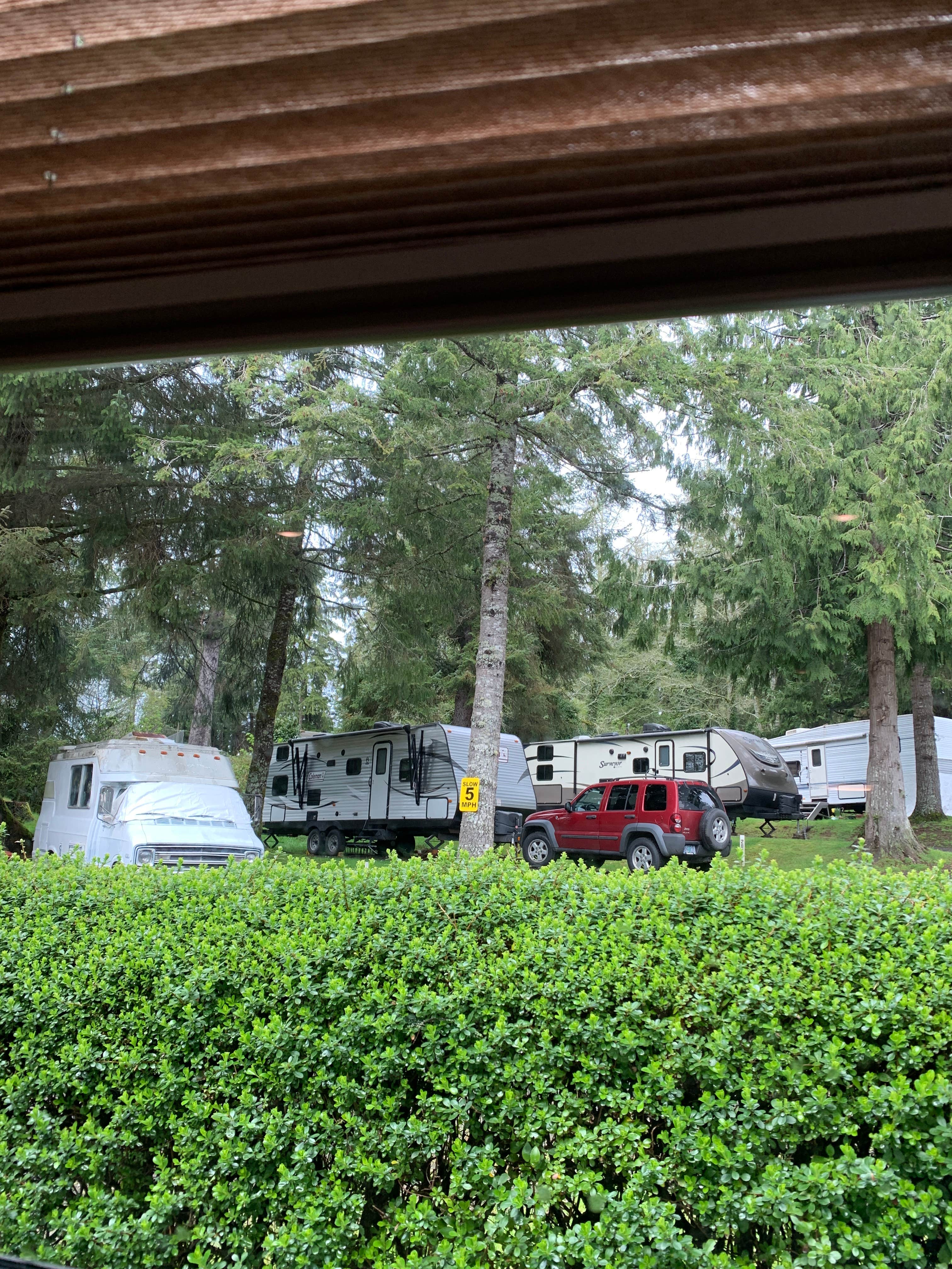 Camper submitted image from Lincoln City KOA - 3