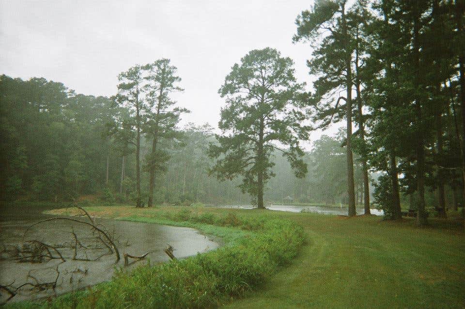 Camper submitted image from Clear Springs Lake Rec Area NF Campground - 3