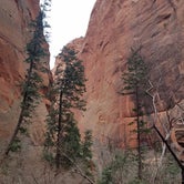Review photo of South Campground — Zion National Park by Dani S., April 18, 2019