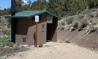 Camping near Goshute Canyon and Goshute Cave: Bird Creek Campground, Ely, Nevada