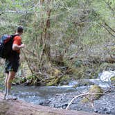 Review photo of Sol Duc Hot Springs Resort Campground — Olympic National Park by Christy K., July 25, 2015