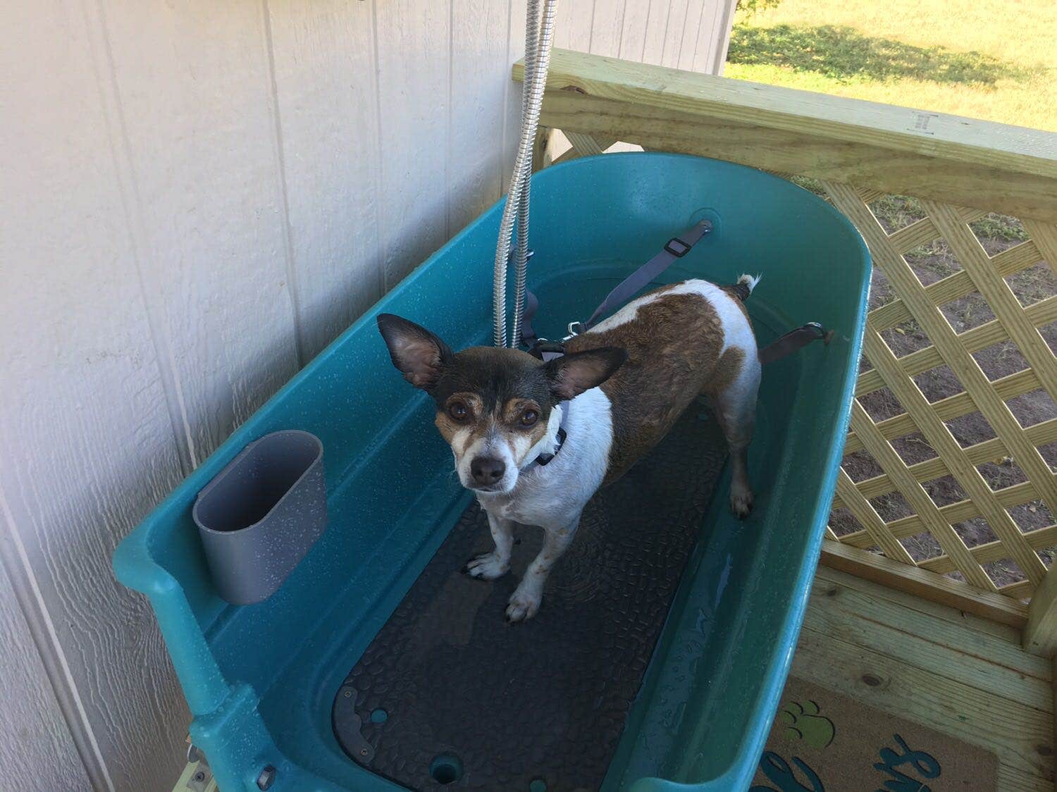 Diane Morse K.'s photo of camping with pets at Bluebonnet RV Resort near San Juan, TX