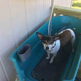 Review photo of Bluebonnet RV Resort by Diane Morse K., April 18, 2019