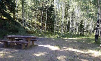 Camping near Schinzel Flats - Glamping Redefined!: Lake Fork Campground, Capulin, Colorado