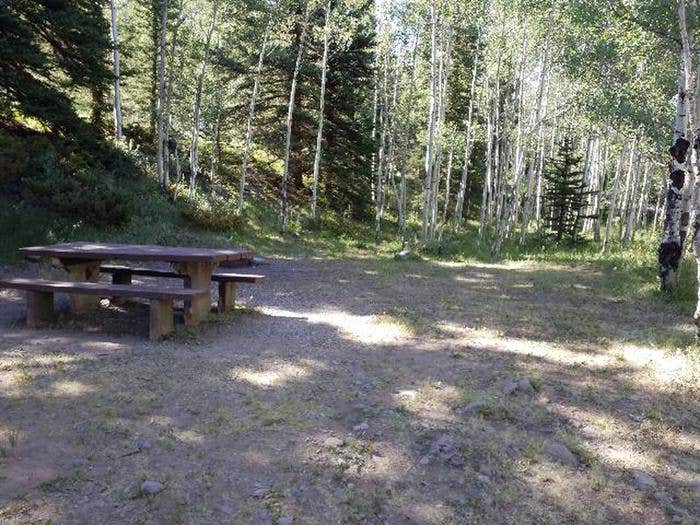 Camper submitted image from Lake Fork Campground - 1