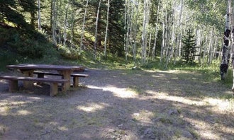 Camping near Fitton Guard Station Cabin: Lake Fork Campground, Capulin, Colorado