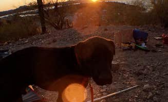 Emily K.'s photo of camping with pets at Bagley Flat Campground and Boat Dock near Scottsdale, AZ