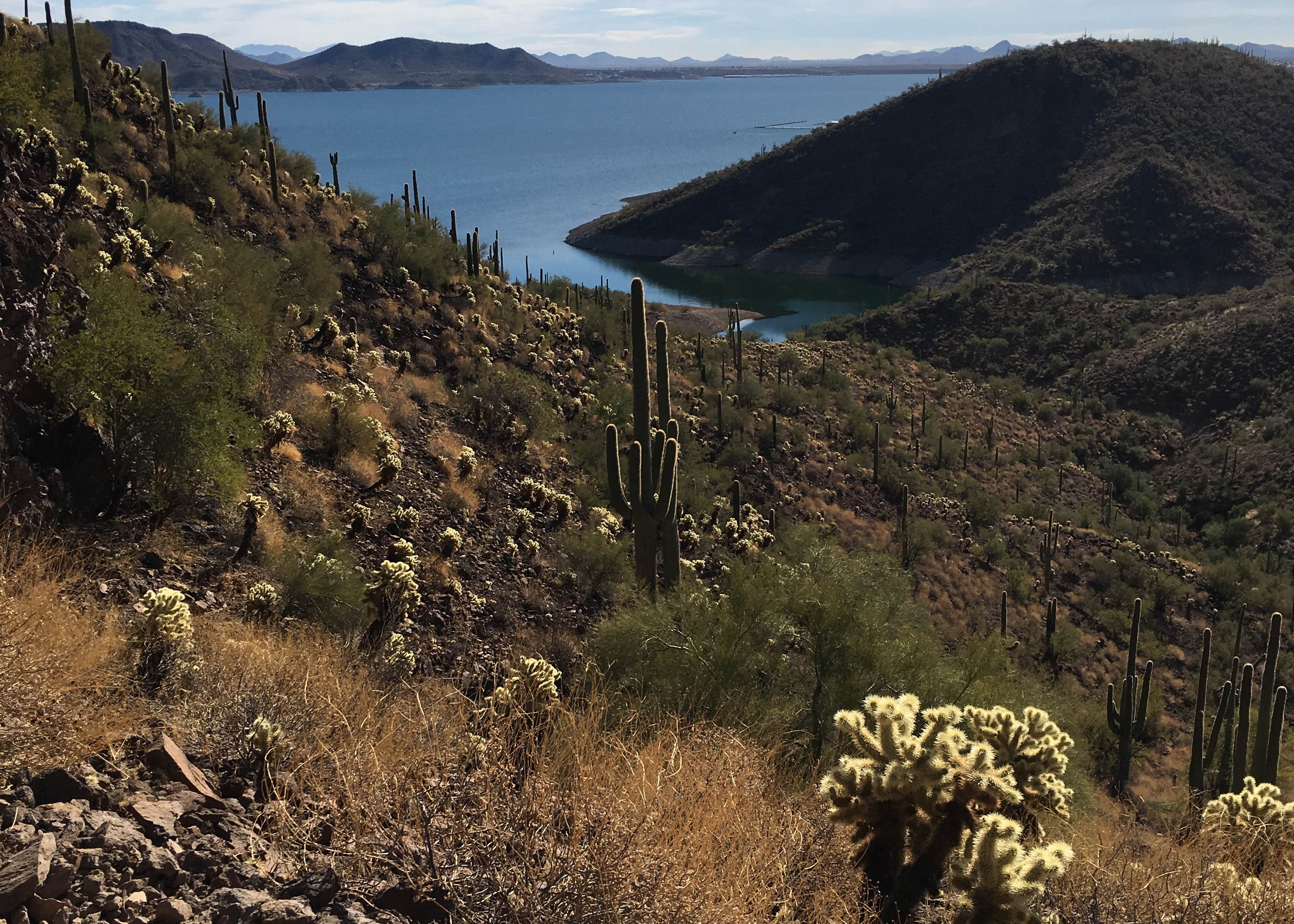 Bagley Flat Campground and Boat Dock Camping The Dyrt