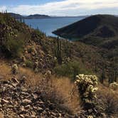 Review photo of Bagley Flat Campground and Boat Dock by Emily K., April 18, 2019