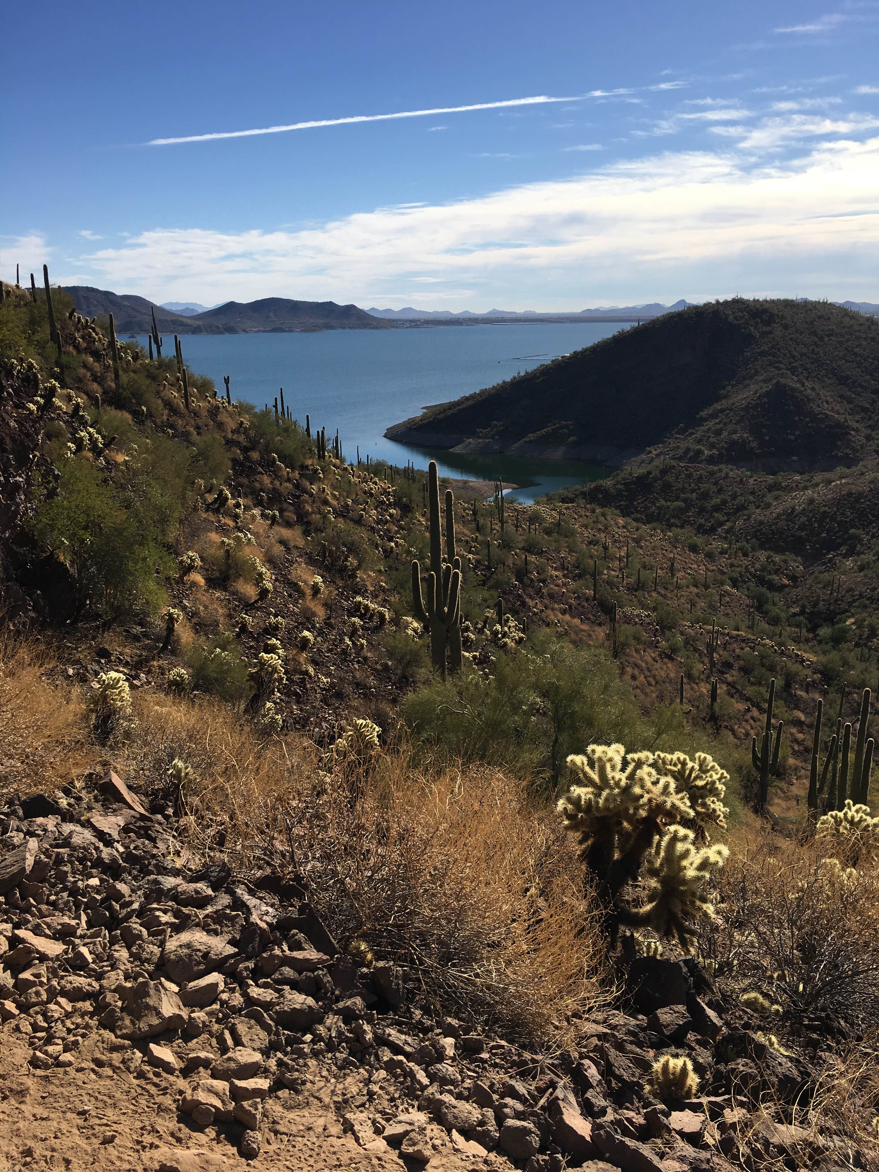 Camper submitted image from Bagley Flat Campground and Boat Dock - 1