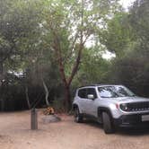 Review photo of Henry Cowell Redwoods State Park Campground by Barb D., April 18, 2019