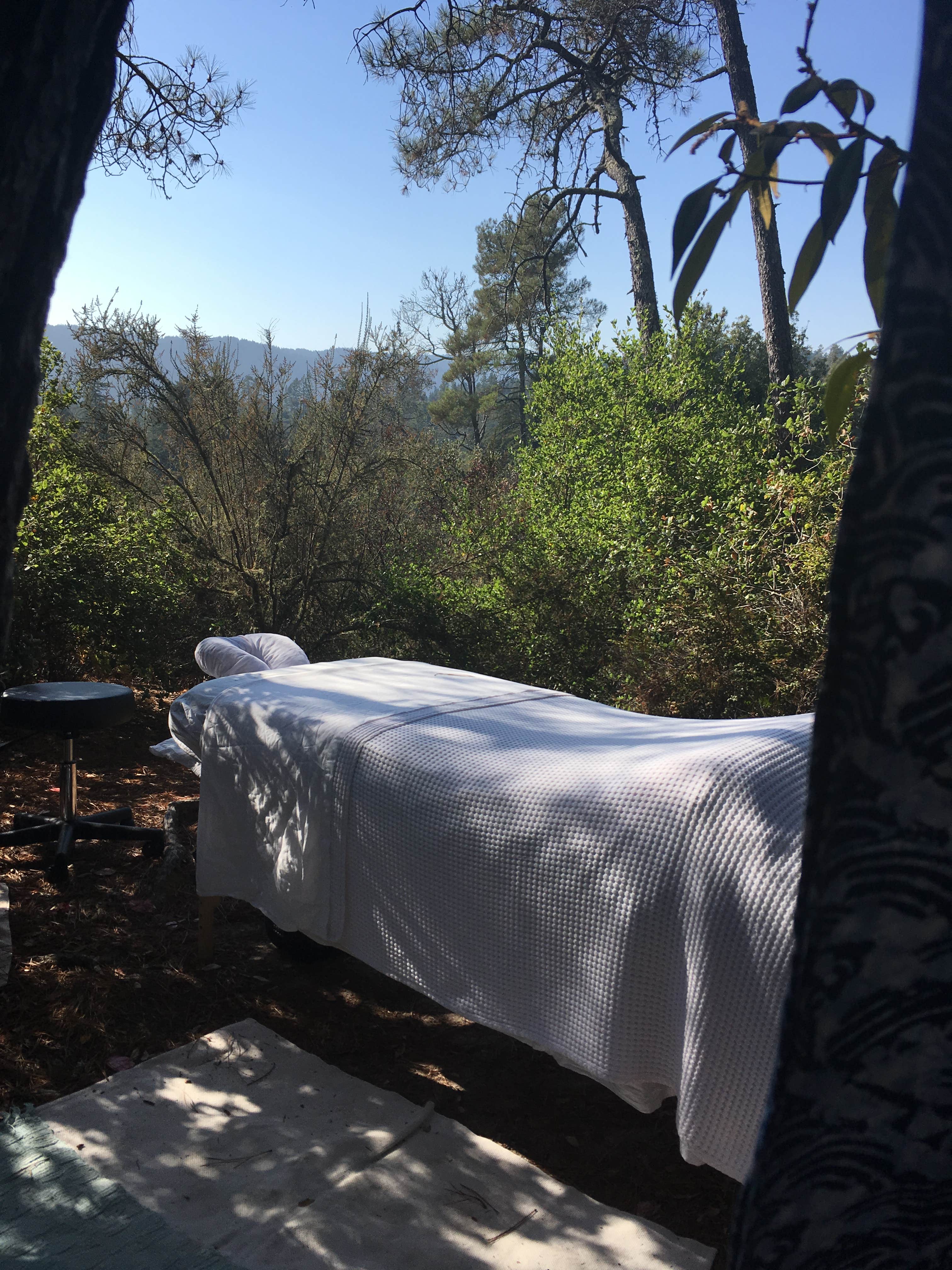 Henry Cowell Redwoods State Park Campground