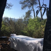Review photo of Henry Cowell Redwoods State Park Campground by Barb D., April 18, 2019