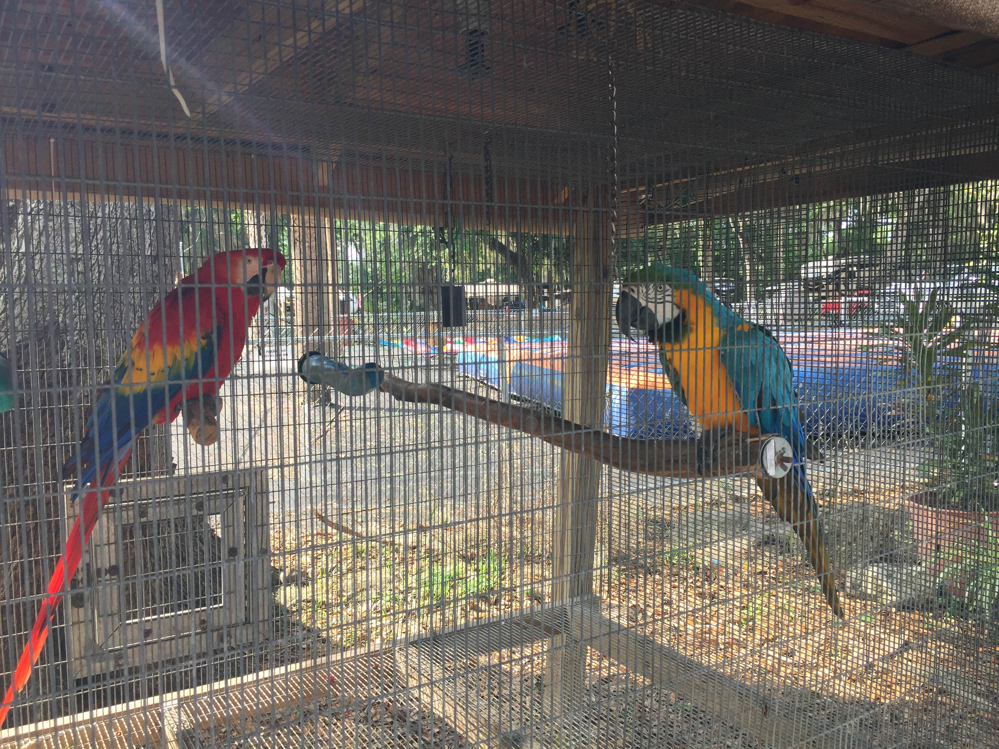 Camper-submitted photo at Nature's Resort near Inverness, FL