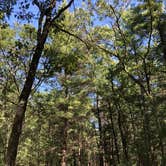 Review photo of Nordhouse Dunes Wilderness by Alyssa A., April 19, 2019