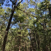 Review photo of Nordhouse Dunes Wilderness  by Alyssa A., April 19, 2019