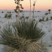 Review photo of Backcountry Primitive Sites — White Sands National Park by Craig G., April 19, 2019