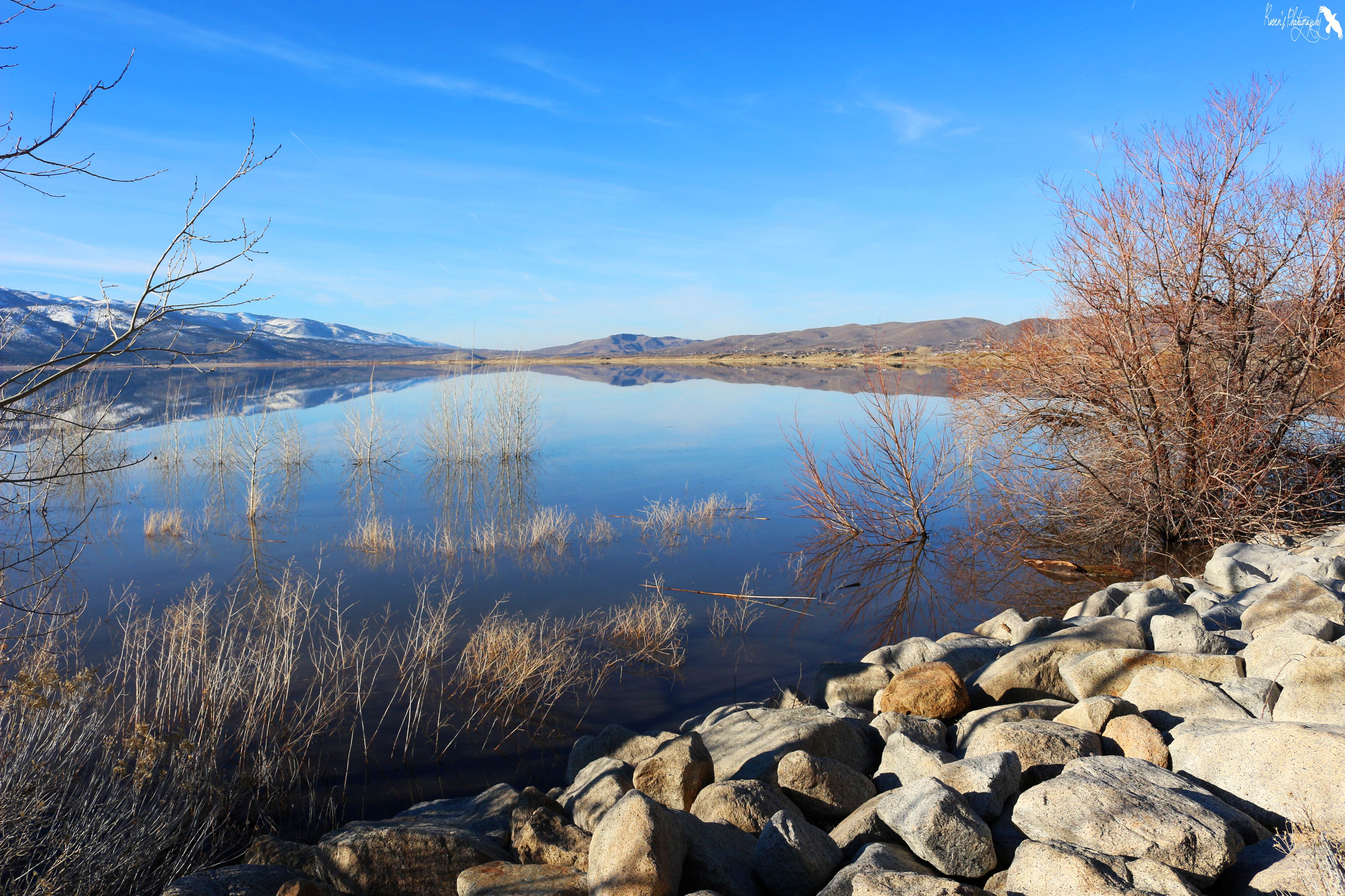 Camper submitted image from Washoe Lake State Park Campground - 4