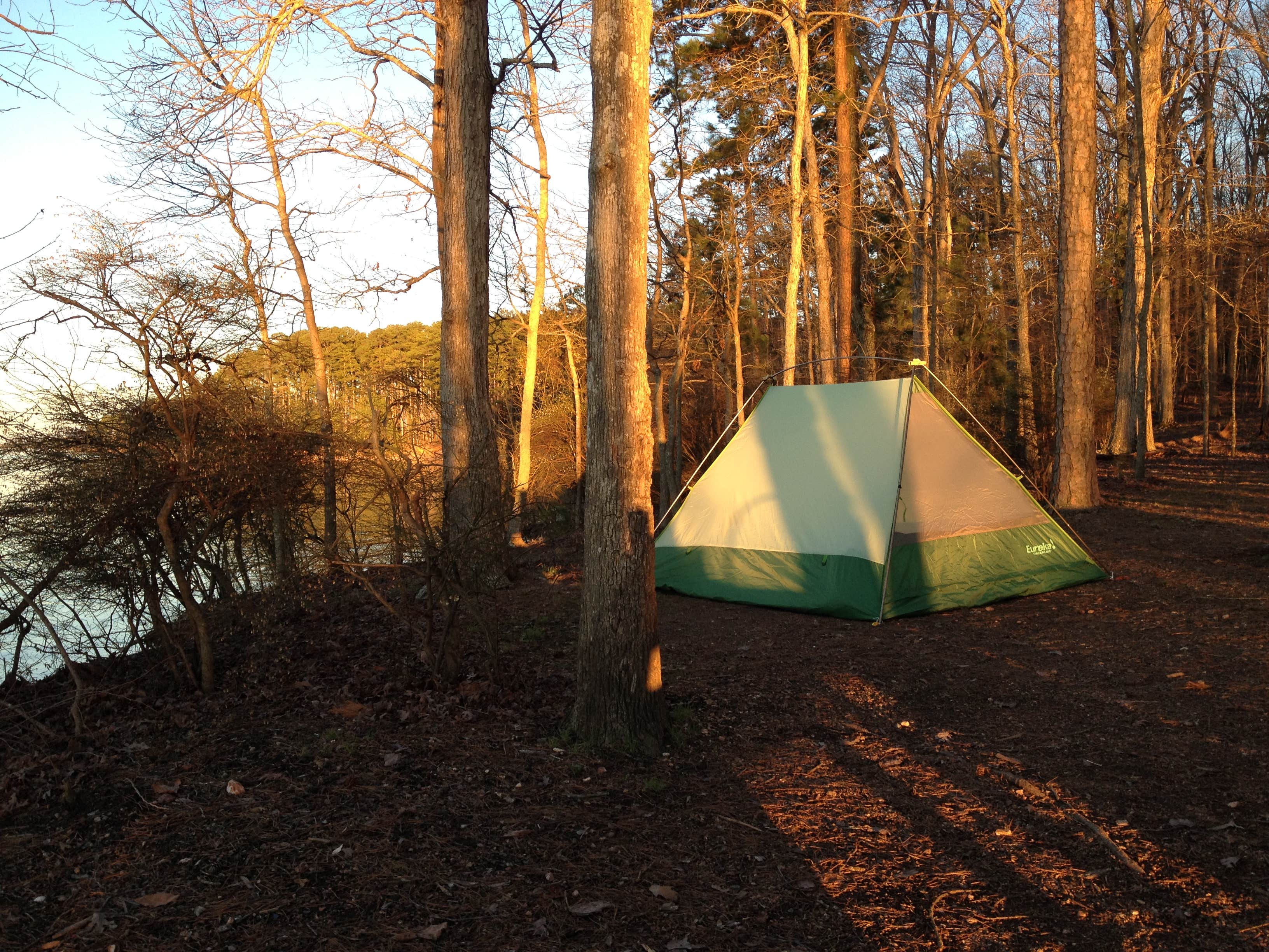 Camper submitted image from Mistletoe State Park Campground - 4