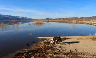 amanda E.'s photo of camping with pets at Washoe Lake State Park Campground near Kings Beach, CA