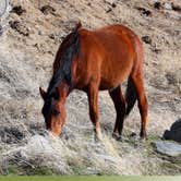 Review photo of Washoe Lake State Park Campground by amanda E., April 19, 2019