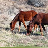 Review photo of Washoe Lake State Park Campground by amanda E., April 19, 2019