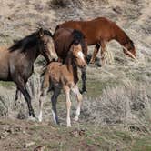 Review photo of Washoe Lake State Park Campground by amanda E., April 19, 2019