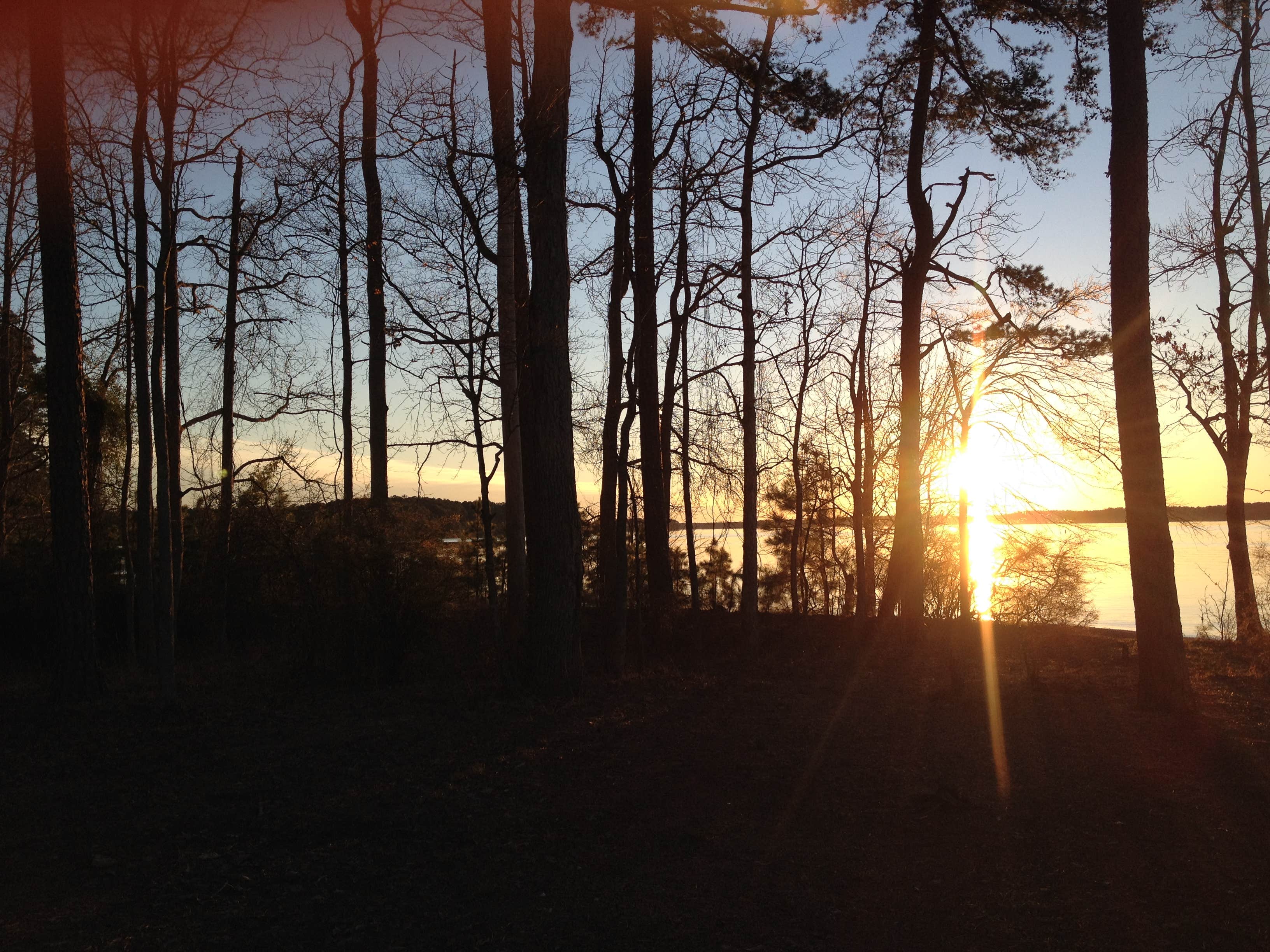 Camper submitted image from Mistletoe State Park Campground - 2