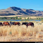 Review photo of Washoe Lake State Park Campground by amanda E., April 19, 2019