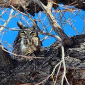 Review photo of Washoe Lake State Park Campground by amanda E., April 19, 2019