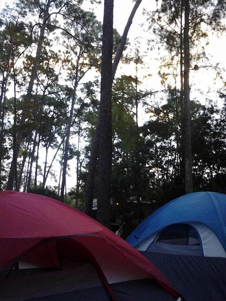 Amanda K.'s photo at Disney’s Fort Wilderness Resort & Campground near Clarcona, FL