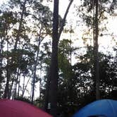 Review photo of Disney’s Fort Wilderness Resort & Campground by Amanda K., April 19, 2019