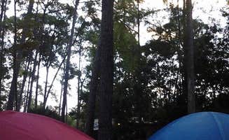 Amanda K.'s photo at Disney’s Fort Wilderness Resort & Campground near St. Cloud, FL