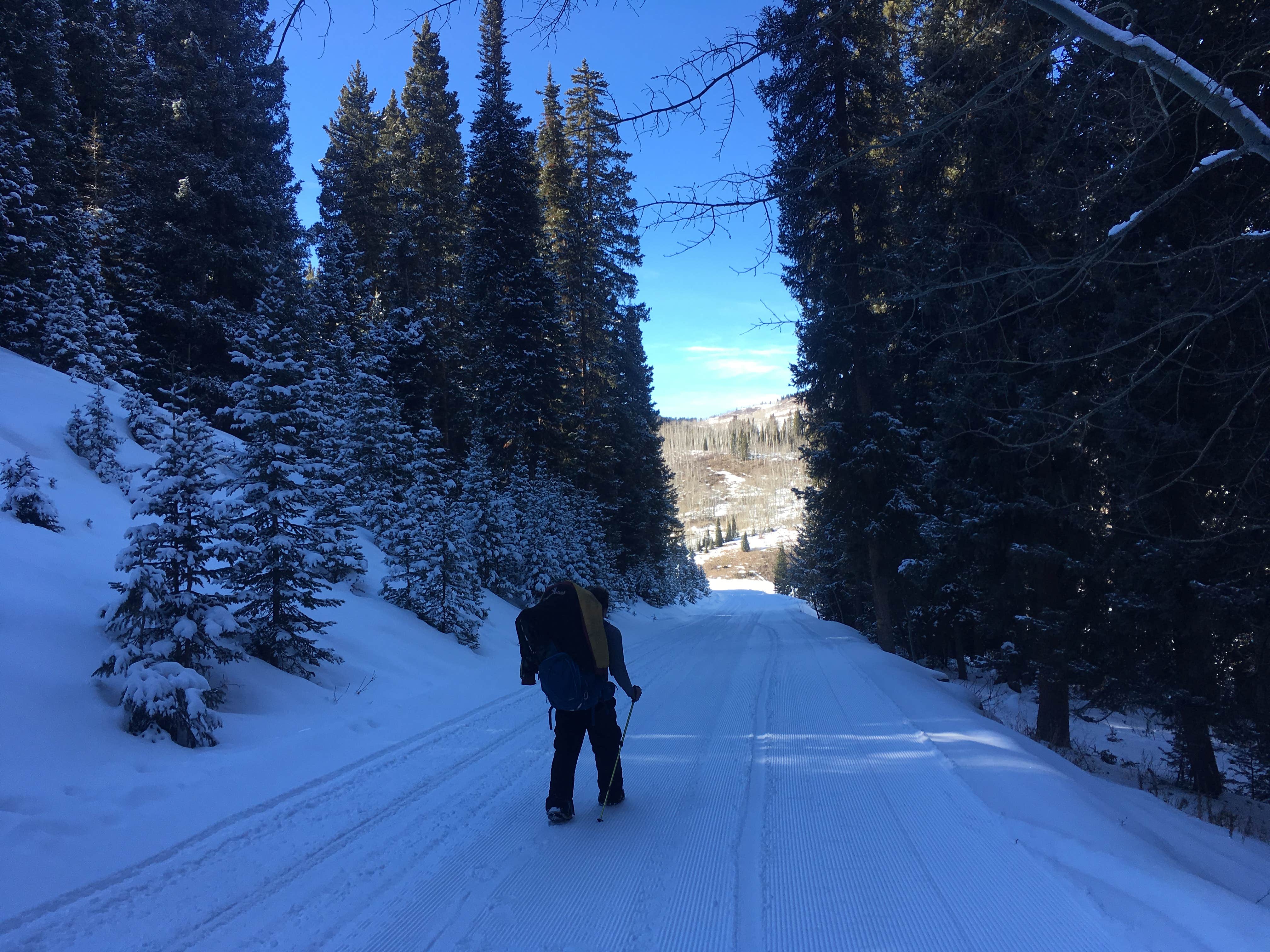 Camping near Glenwood Canyon Resort: Four Mile Road Dispersed, Carbondale, Colorado